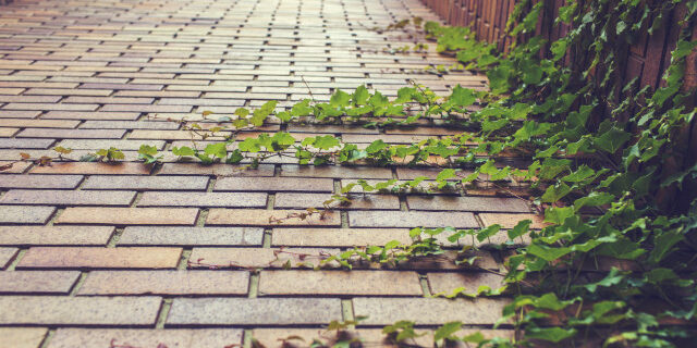 Post-Evangelical: The Next Generation